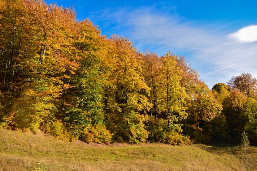  - O toamna ca-n povesti