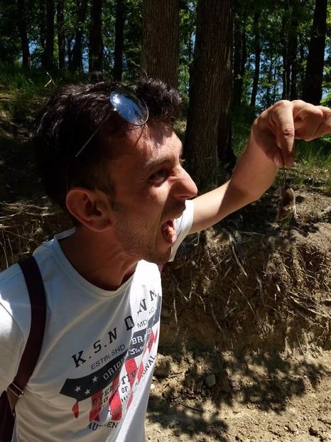 received_1448016571926827 - Prin pădure