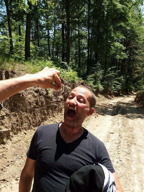 received_1448016665260151 - Prin pădure