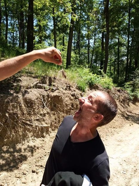 received_1448016678593483 - Prin pădure