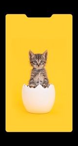  - Imagini de fundal iPhone X