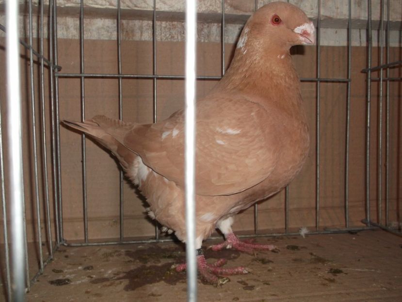 mama - FEM MATCA 2018