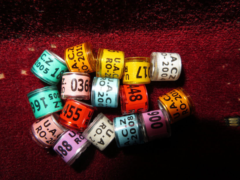 nu sunt destinate vanzarii - Inele UACZ