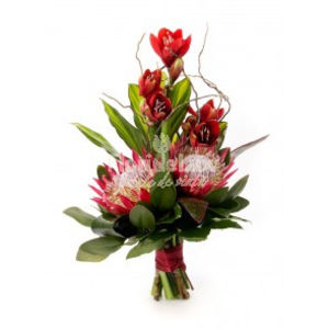 buchet_senzational_cu_amaryllis_si_protea - BUCHETE DE FLORI