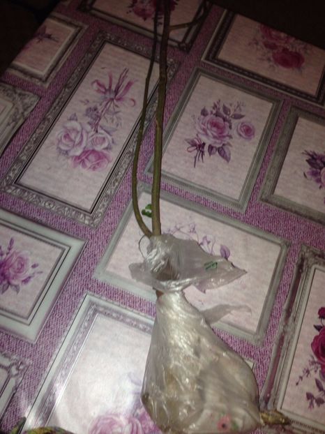  - Multumesc Maria 70