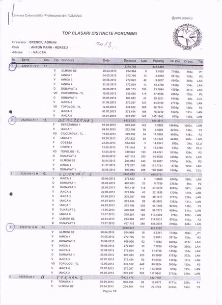 TOP clasari distincte 2013 - DE VANZARE PORUMBEI CU NORME TRAISTARU PODOSU