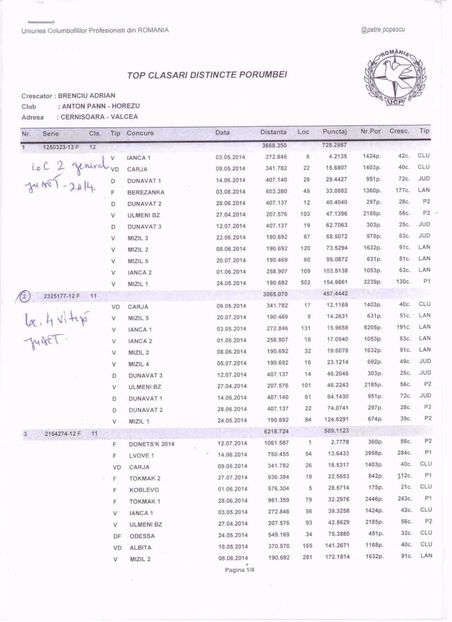 top clasari distincte 2014 - DE VANZARE PORUMBEI CU NORME TRAISTARU PODOSU