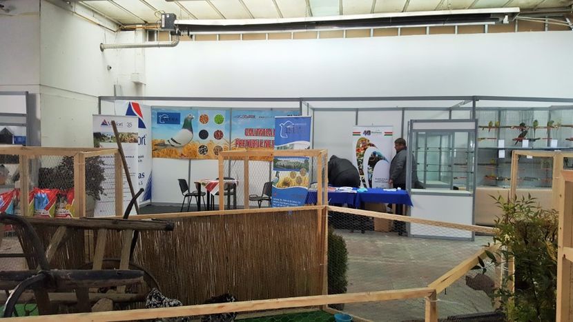 20171117_132817 (2) - u EXPO NAPOCA 2017