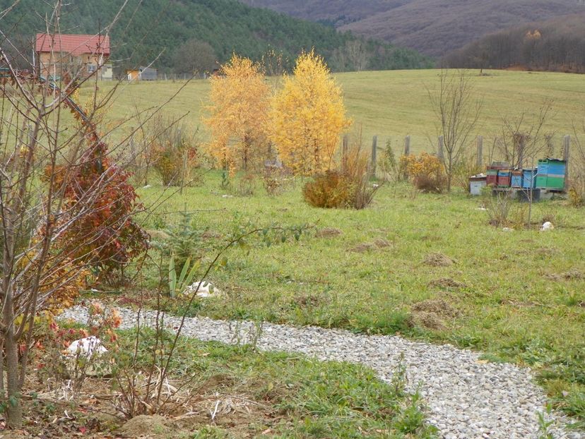 17 nov (15) - Dobarland 2017 2