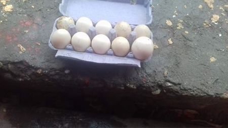 S-au pus pe treaba! - Rate lesesti matca 2018