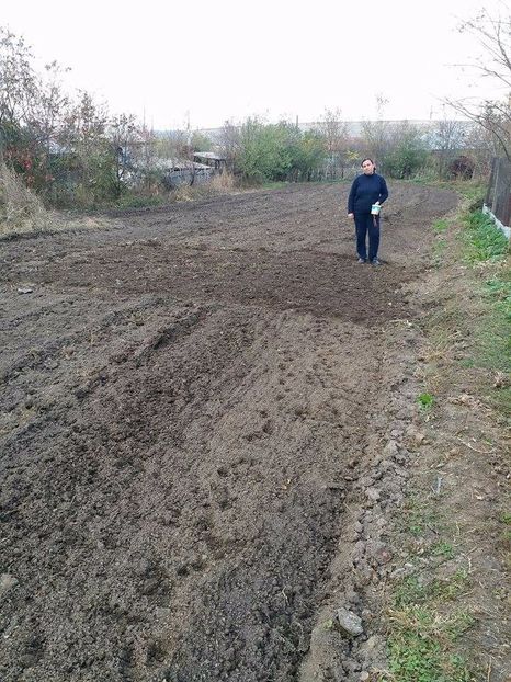  - DIN GRĂDINA DE FLORI ȘI LEGUME - 2017