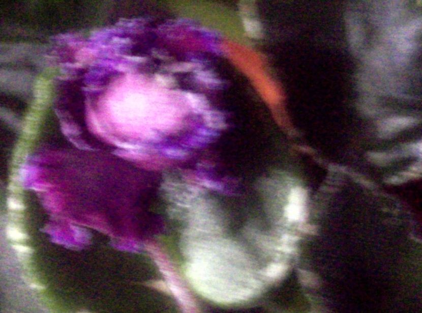  - Violete
