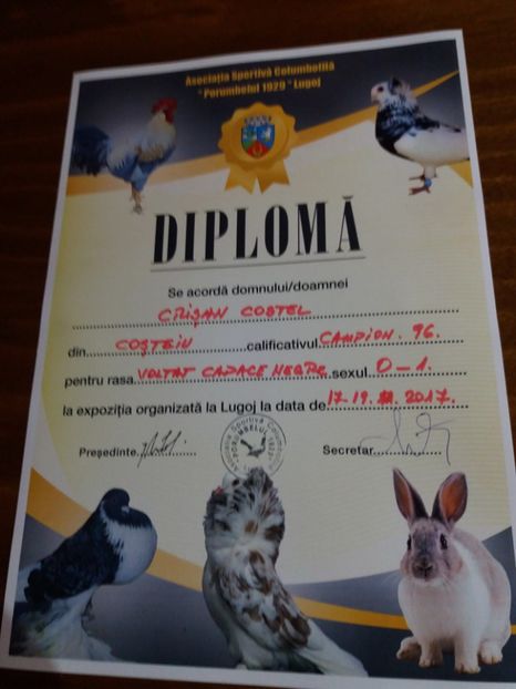  - 7-Rezultate obtinute