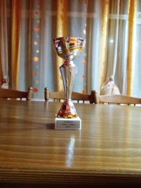  - 7-Rezultate obtinute