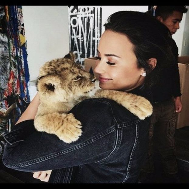  - trying to be a rainbow challenge2