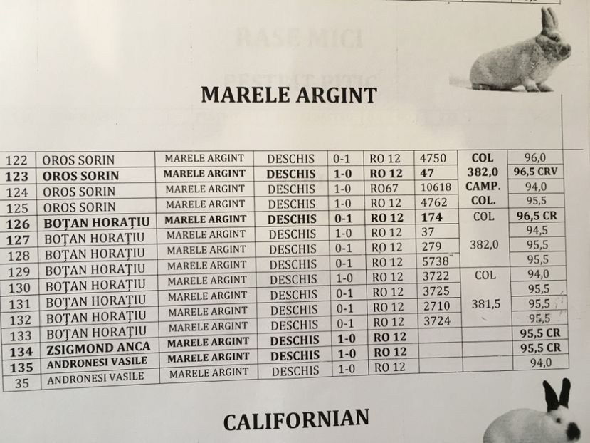 Rezultate expo Bistrita 2017 - 1 - Rezultate Expo Bistrita 16-11-2017