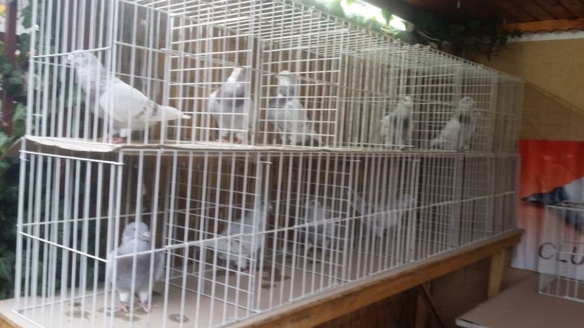 Prezentare 1 - Sedinte si intalniri- VRDF