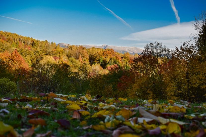  - O toamna ca-n povesti