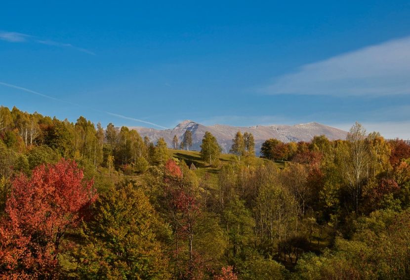  - O toamna ca-n povesti