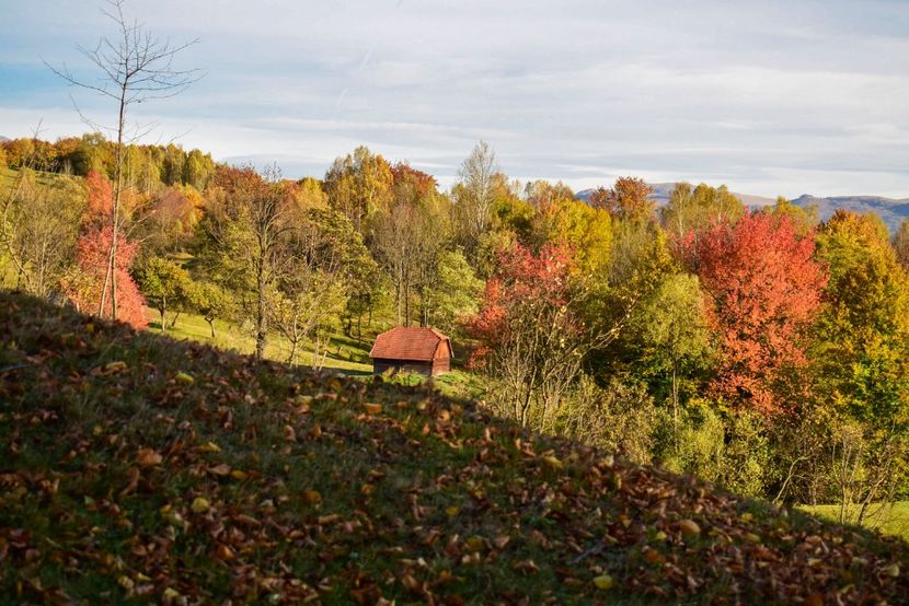  - O toamna ca-n povesti
