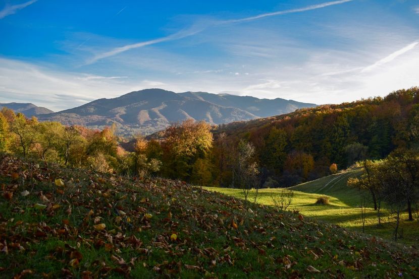  - O toamna ca-n povesti