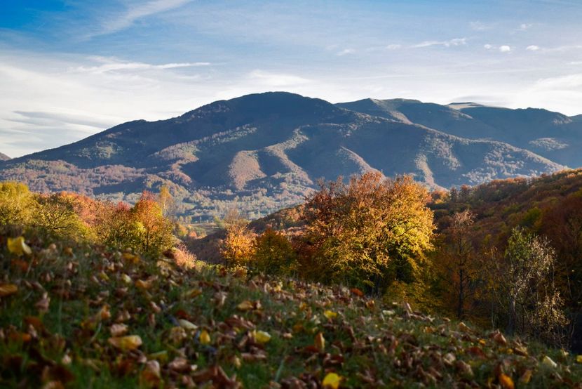  - O toamna ca-n povesti