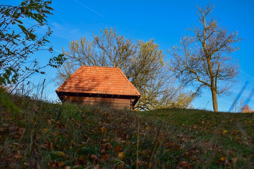  - O toamna ca-n povesti