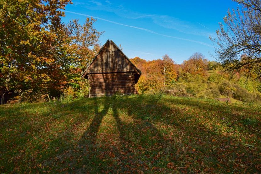  - O toamna ca-n povesti