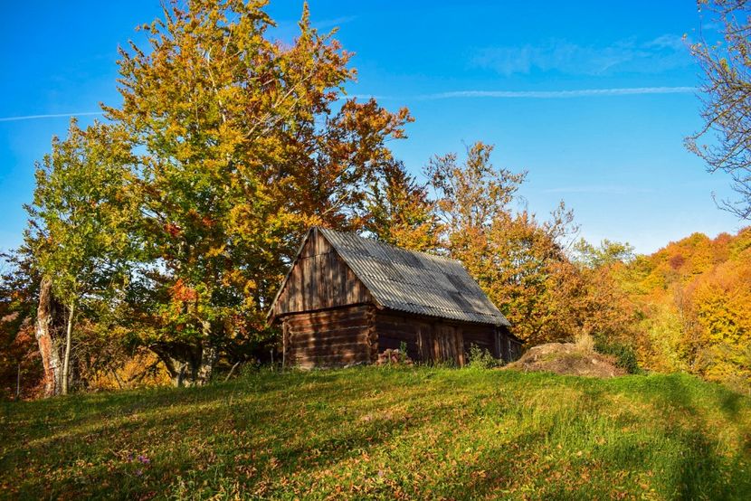  - O toamna ca-n povesti