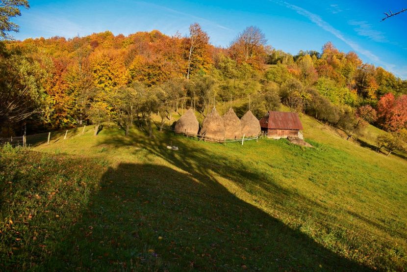  - O toamna ca-n povesti