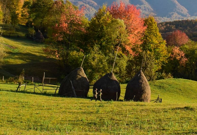 vanatorii - O toamna ca-n povesti