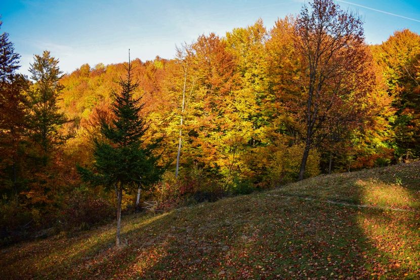  - O toamna ca-n povesti