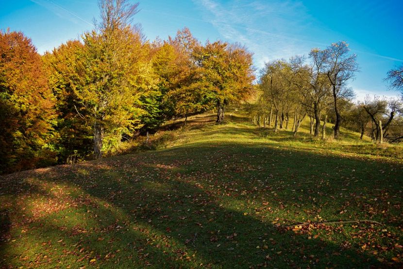  - O toamna ca-n povesti