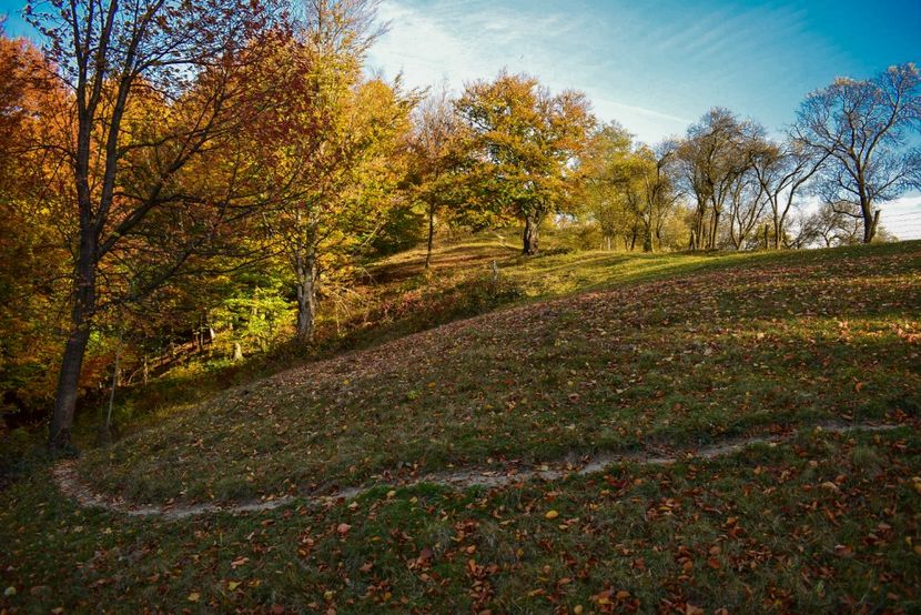  - O toamna ca-n povesti