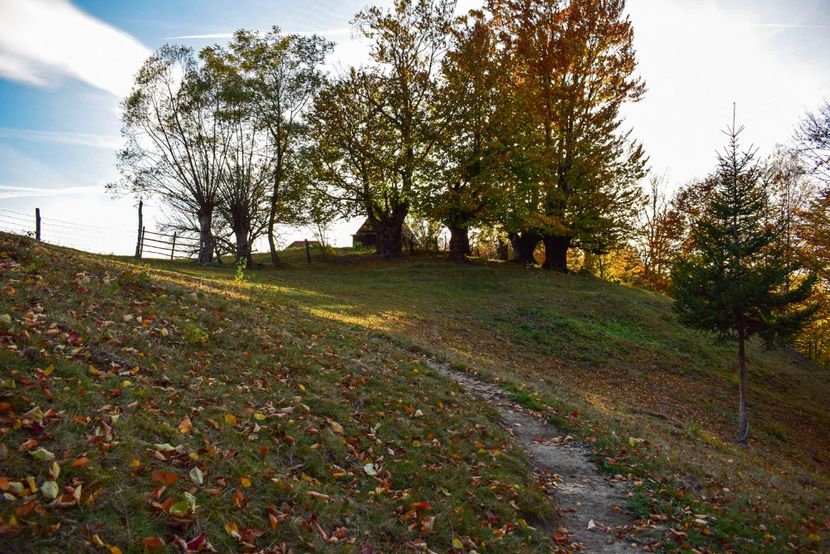  - O toamna ca-n povesti