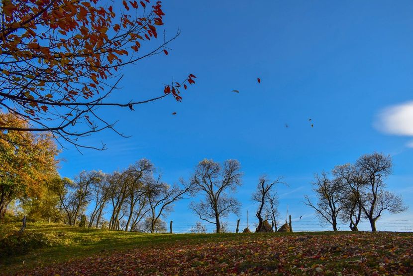  - O toamna ca-n povesti