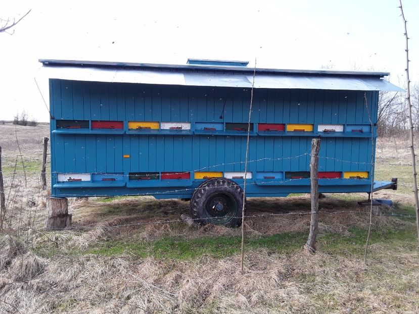  - Vagonul apicol 2017