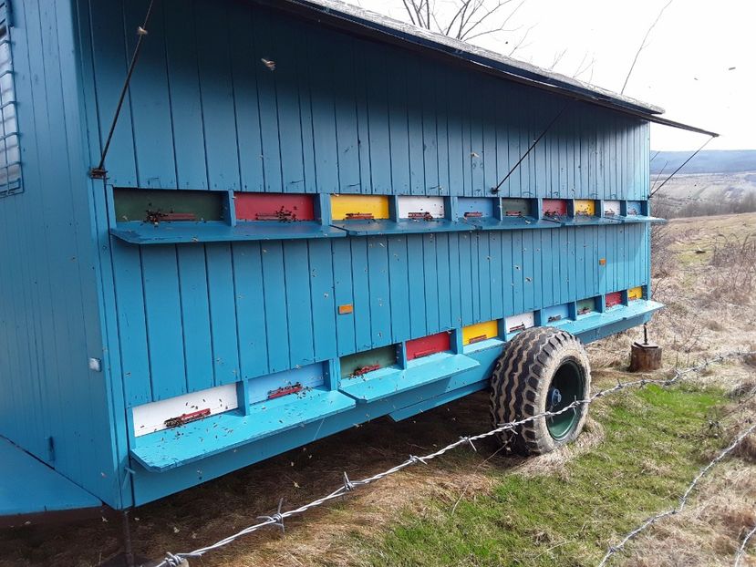  - Vagonul apicol 2017