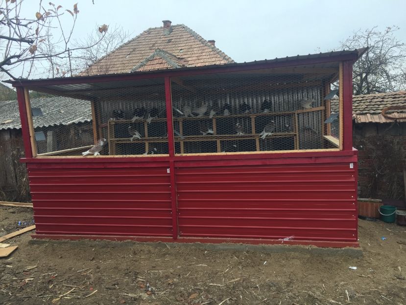 11BCD92D-0524-4E89-9C68-DFCEF6B1D7B6 - 4 VOLIERA