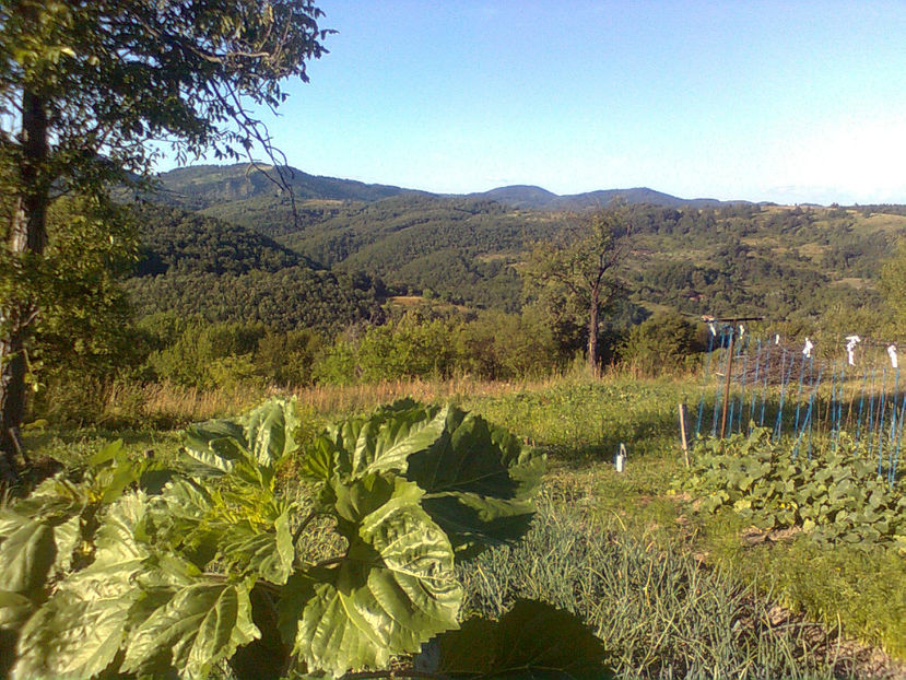  - PRIN GRADINA 2014 -216 - 2017 - 2018 Viata la tara