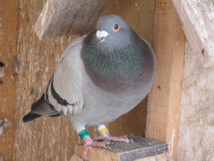 Picture 640 - Lot de zbor 2010