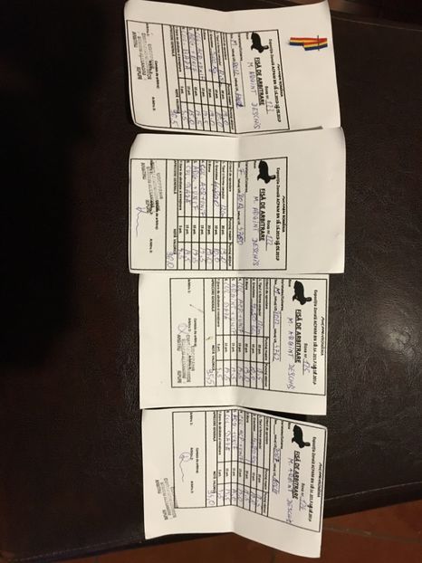 Campion colectie - 1 - Rezultate Expo Bistrita 16-11-2017