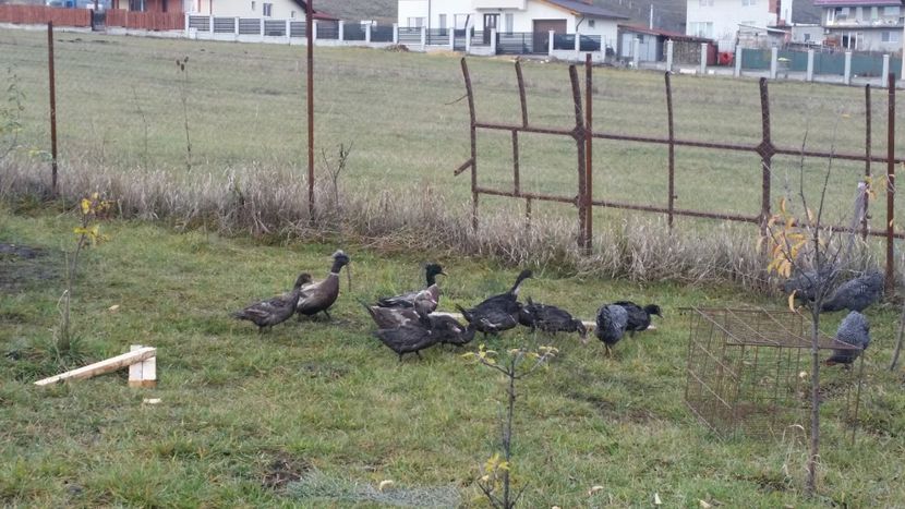  - a CONTACT________________a