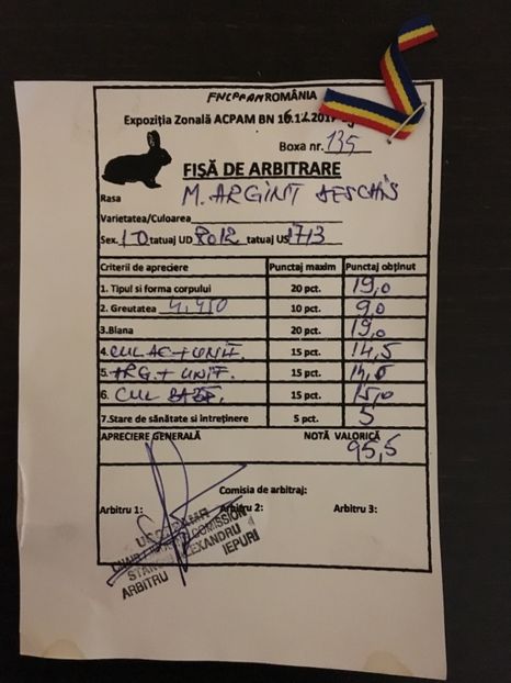 Campion rasa - 1 - Rezultate Expo Bistrita 16-11-2017