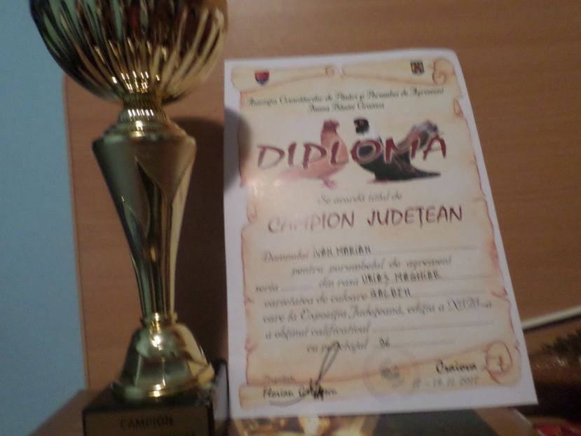 SAM_4726 - AAAAA CAMPIONII MEI LA EXPO 2017 FAUNA BANIEI