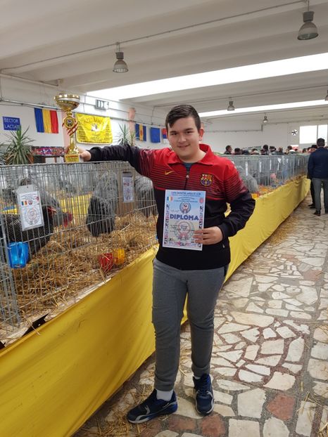  - Rezultatele obținute la CUPA BANATULUI 2017
