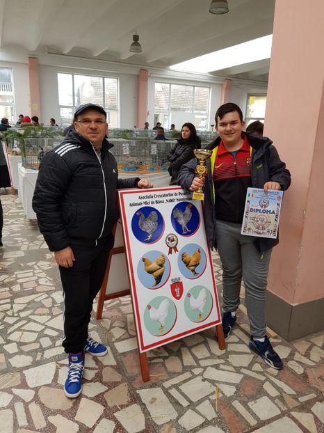  - Rezultatele obținute la CUPA BANATULUI 2017