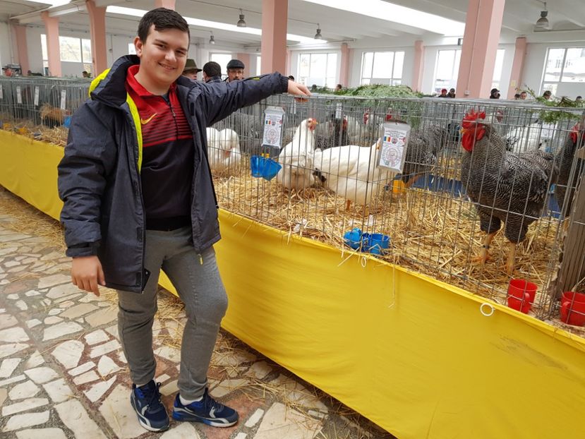  - Rezultatele obținute la CUPA BANATULUI 2017