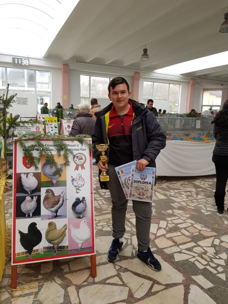  - Rezultatele obținute la CUPA BANATULUI 2017