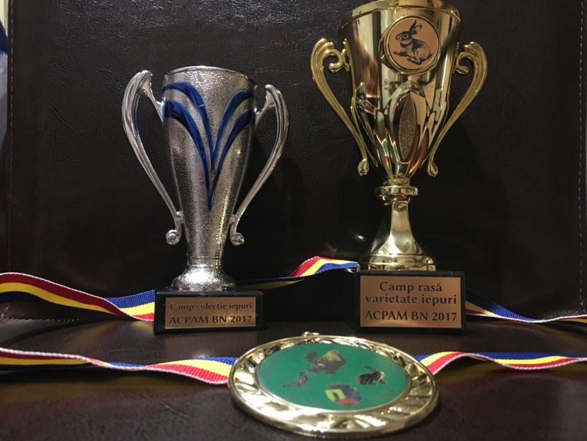 Cupele - 1 - Rezultate Expo Bistrita 16-11-2017